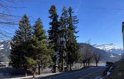 Leysin, Vaud 1854