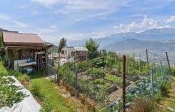Grône, Valais 3979
