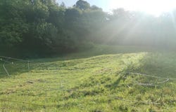 Muggio, Ticino 6838