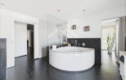 Kyburg-Buchegg, Solothurn (canton) 4586