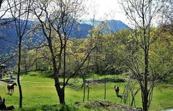 Calonico, Calonico, Ticino 6746