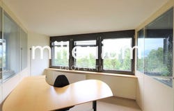 Tannay, Mies, Vaud 1295
