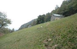 Iragna, Ticino 6707
