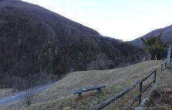 Camedo, Ticino 6659