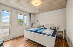 Triengen, Lucerne (canton) 6234