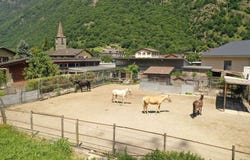 Dorénaz, Dorénaz, Valais 1905