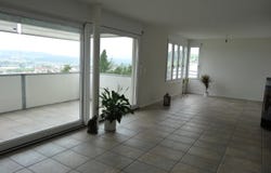 Blitzbergweg 26, Klingnau, Aargau 5313