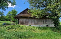 Boswil, Aargau 5623