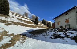 Monti di Marzanei, Camperio, Ticino 6718