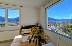 Gordola, Ticino 6596