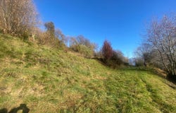 Cademario, Ticino 6936