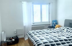 Wettswil am Albis, Zürich (canton) 8907