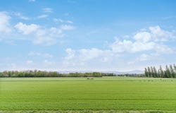 Route des Avouillons 17D, Gland, Vaud 1196