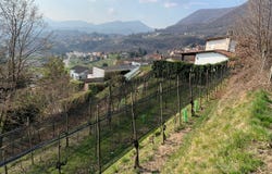Zona Buee, Morbio Superiore, Ticino 6835