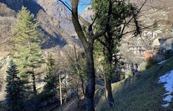 Vogorno, Ticino 6632
