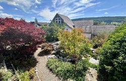 Rickenbach SO, Solothurn (canton) 4613