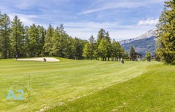 route des mélèzes, Crans-Montana, Valais 3963