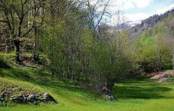 Calonico, Calonico, Ticino 6746