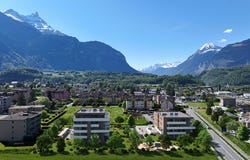 Chemin de Montaillet, Bex, Vaud 1880