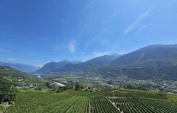 Flanthey, Flanthey, Valais 3978