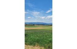 Mex VD, Vaud 1031