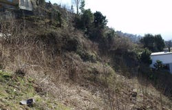 Bellinzona, Ticino 6500