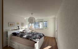 Dübendorf, Zürich (canton) 8600