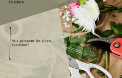 Niklaus Konrad-Strasse 6, Solothurn, Solothurn (canton) 4500