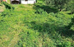 Gnosca, Ticino 6525