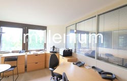 Tannay, Mies, Vaud 1295