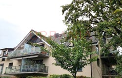 Mies, Mies, Vaud 1295