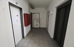 Lenzburg, Aargau 5600
