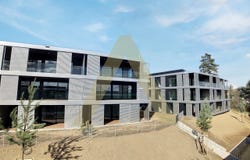 St-Aubin-Sauges, Neuchâtel (canton) 2024