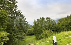 Cimadera, Ticino 6951