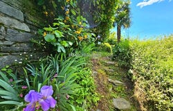 Gordola, Ticino 6596