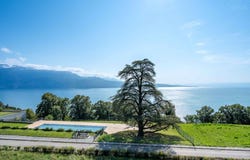 Puidoux, Puidoux, Vaud 1070