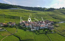 Epesses, Epesses, Vaud 1098