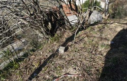 Bellinzona, Ticino 6500