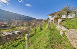 Ponte Cremenaga, Ticino 6998