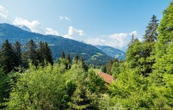 La Barboleuse, Gryon, Vaud 1882