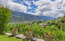 Flanthey, Flanthey, Valais 3978