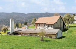 Gland, Longirod, Vaud 1261