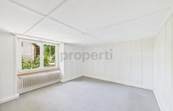 Schaffhausen, Schaffhausen (canton) 8207
