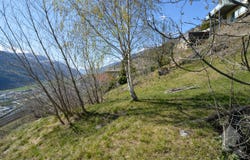 Eggerberg, Valais 3939