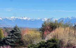 Pampigny, Vaud 1142