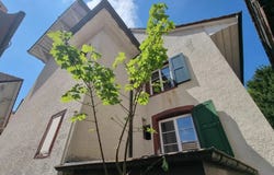 Hauptstrasse 77, Hölstein, Basel-Landschaft (canton) 4434