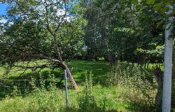 Pleuvrier & Chavany, Grandfontaine, Jura 2908