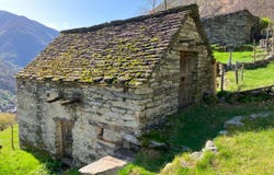 Corippo, Ticino 6631