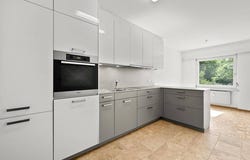 Liestal, Basel-Landschaft (canton) 4410