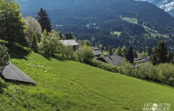 Gryon, Vaud 1882